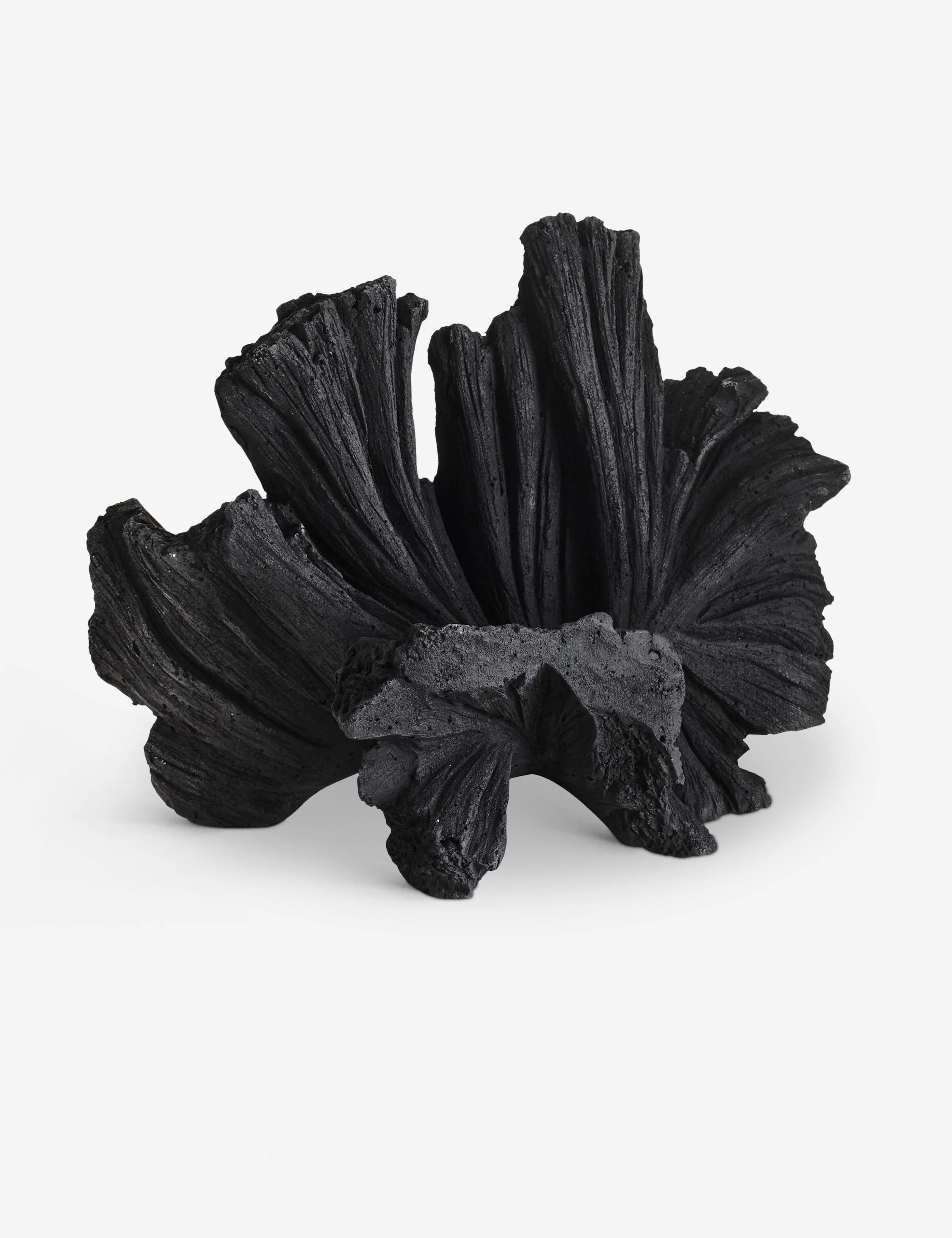 All Tabletop + Dining